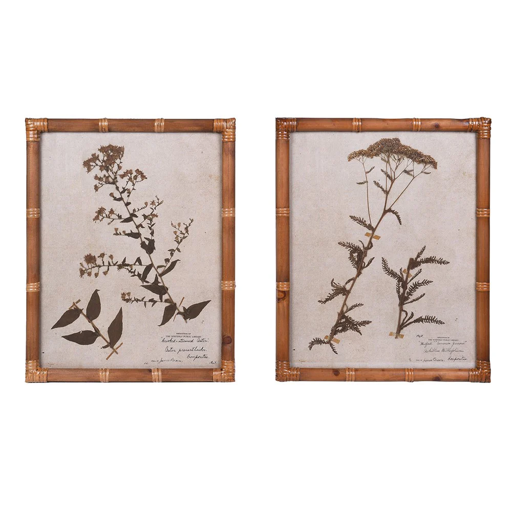 Achillea & Aster Prints - Set of 2