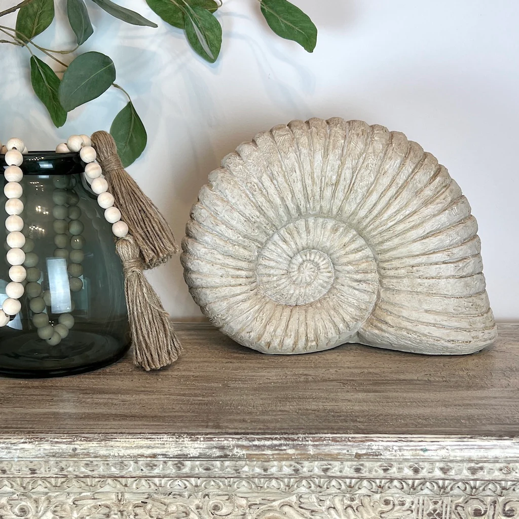 Ammonite Shell Decoration