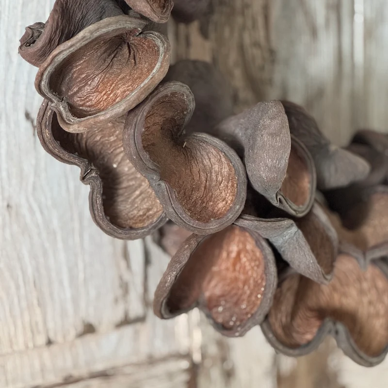 Badam Nut Wreath – 50cm - Image 3