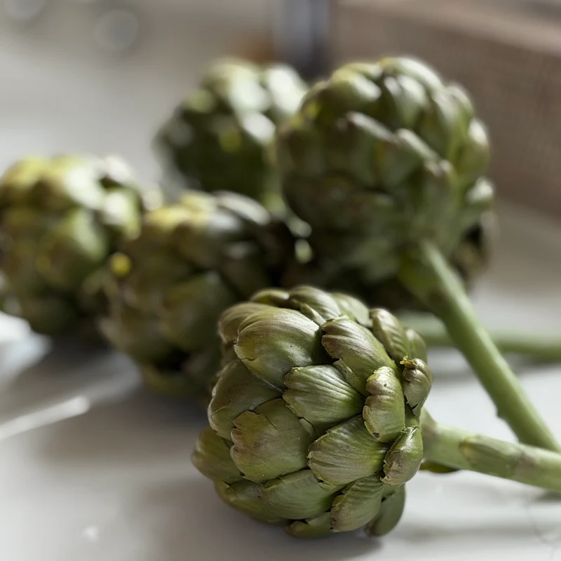 Beautiful Faux Artichoke Stem - 23cm - Image 5