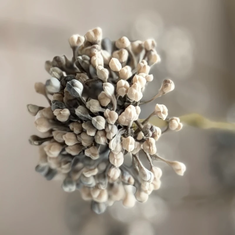 Brown Allium Spray – Dried Look Faux Botanical Stem - Image 4