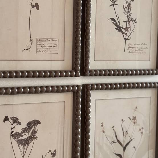 Brown Bobbin Herbier Print Set 4 - Image 3