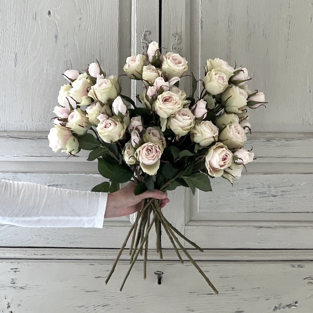 Cottage Garden Rose Pink Stem
