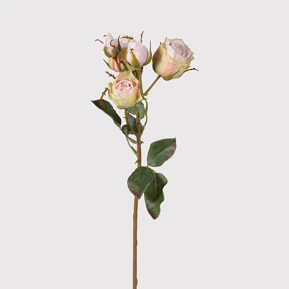 Cottage Garden Rose Pink Stem - Image 2