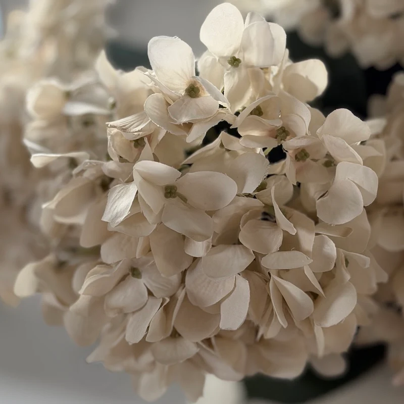 Cream Hydrangea Stem - 72cm - Image 3