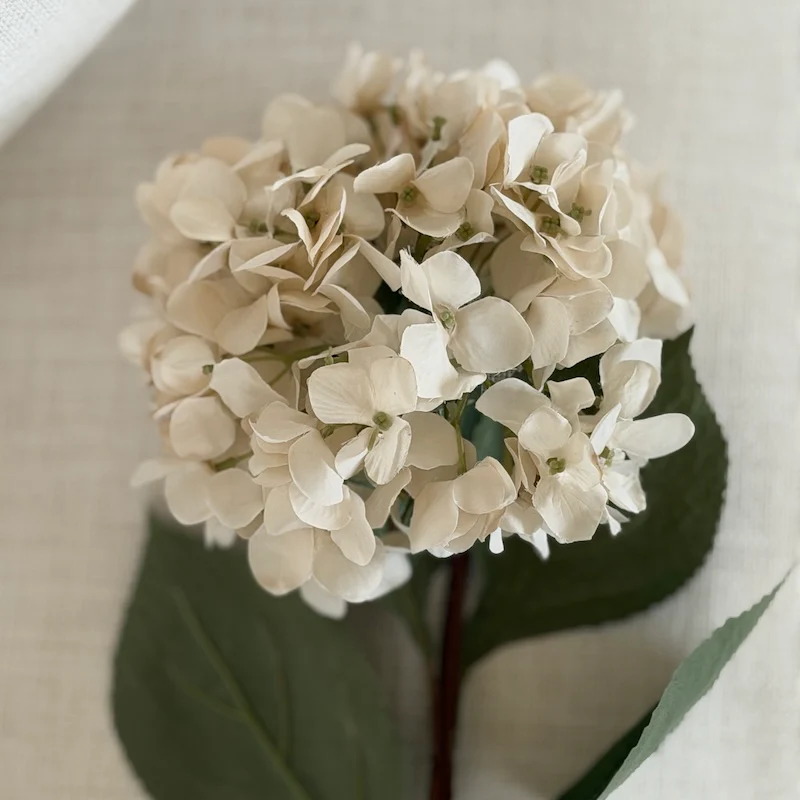 Cream Hydrangea Stem - 72cm - Image 4