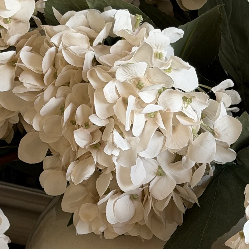 Cream Hydrangea Stem - 72cm - Image 5