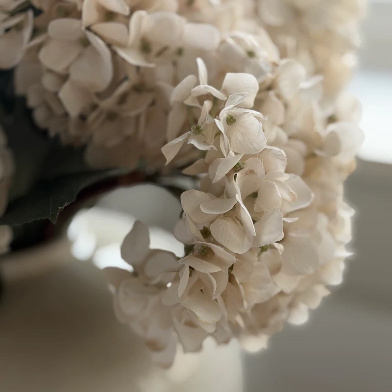 Cream Hydrangea Stem - 72cm - Image 7