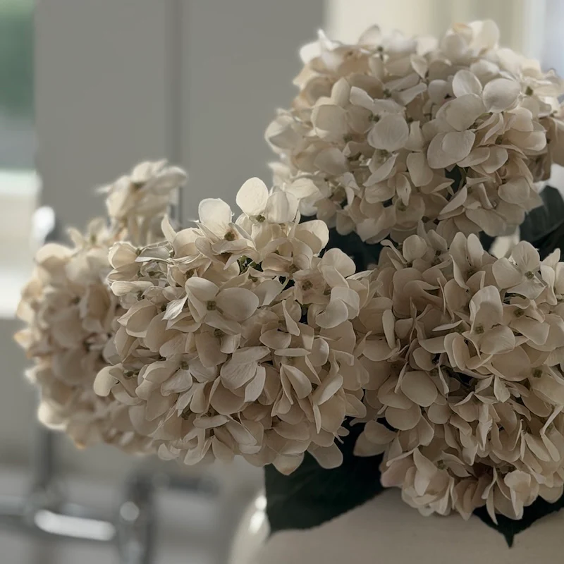 Cream Hydrangea Stem - 72cm - Image 8