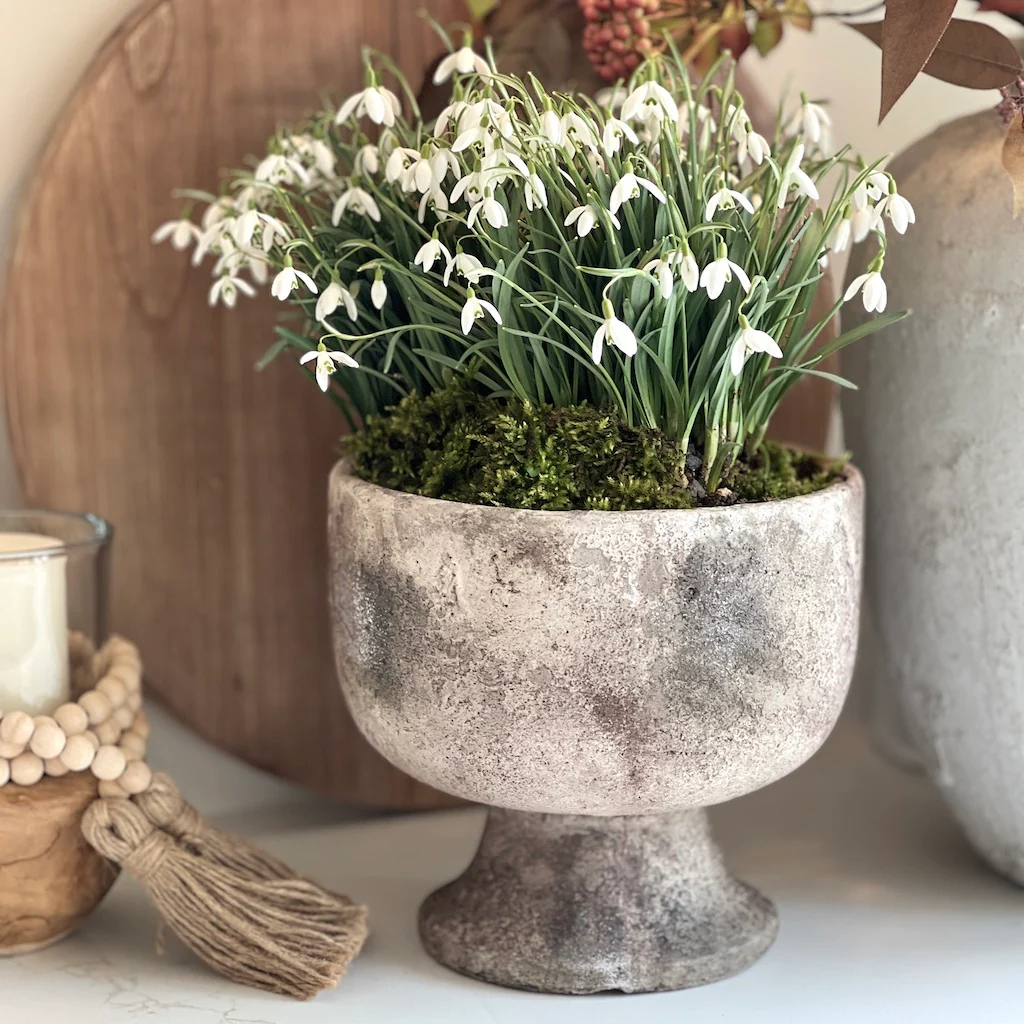 Distressed Footed Vase