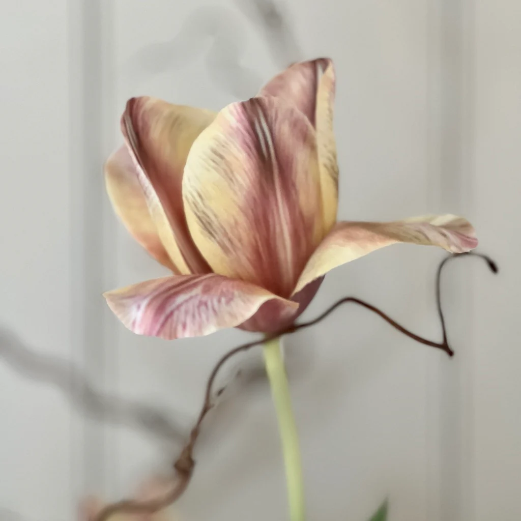 Faux Apricot Foxx Tulip Stem - Image 3