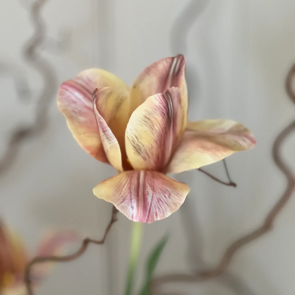 Faux Apricot Foxx Tulip Stem - Image 5