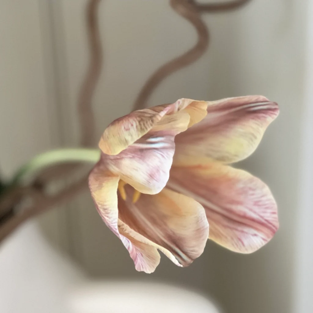 Faux Apricot Foxx Tulip Stem - Image 6