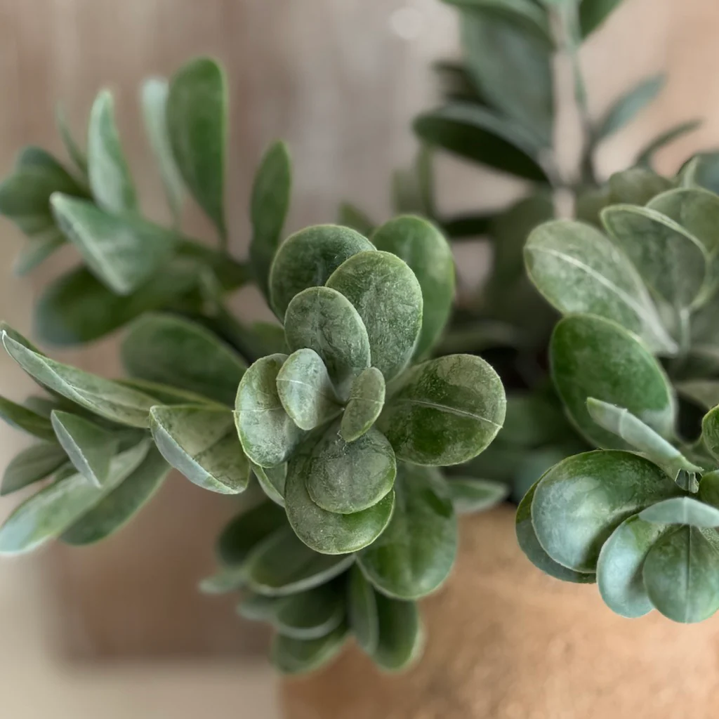 Faux Boxwood Bush Stem - Image 3