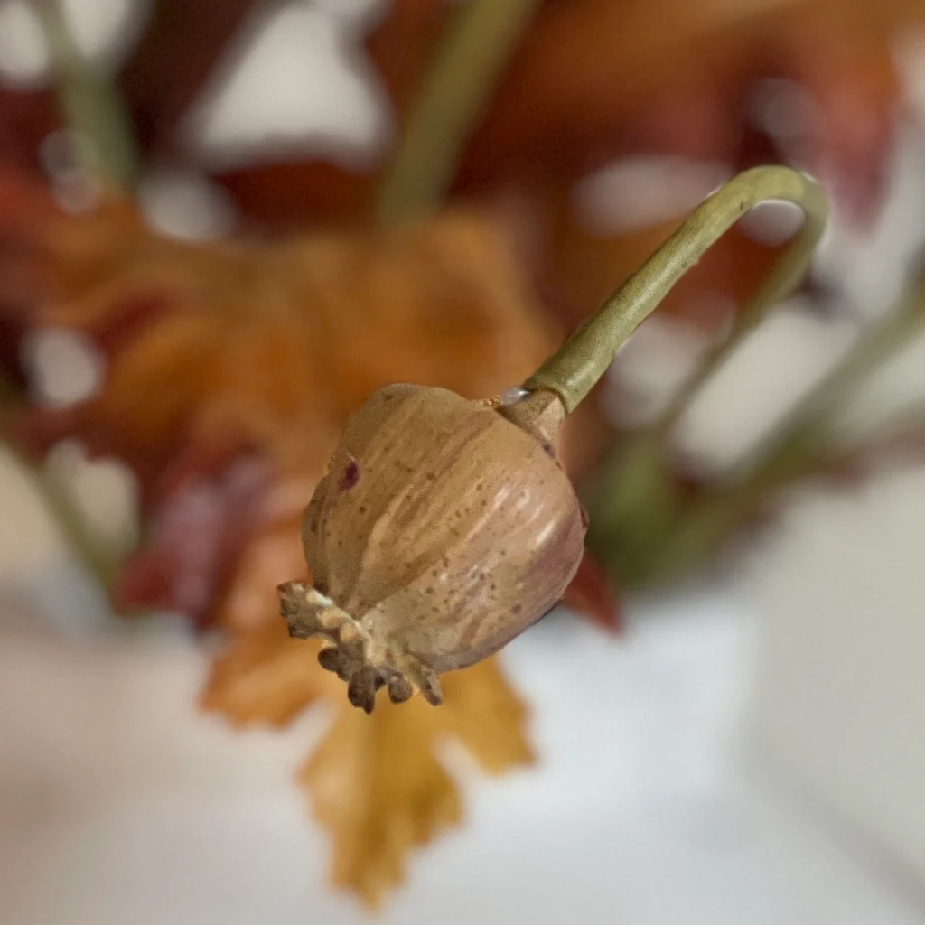 Faux Brown Pink Poppy Seed Head Stem - Image 3