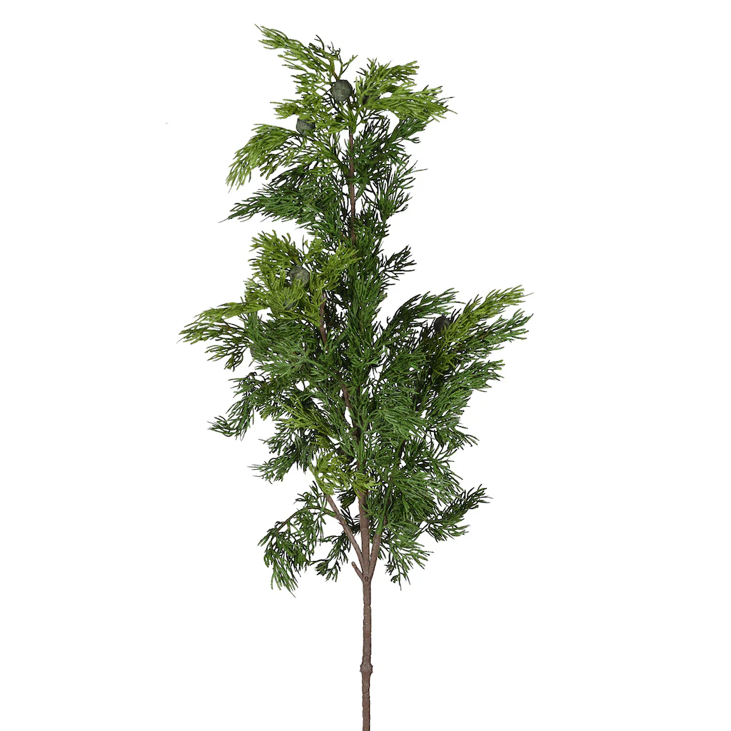 Faux Cypress Branch - Image 4
