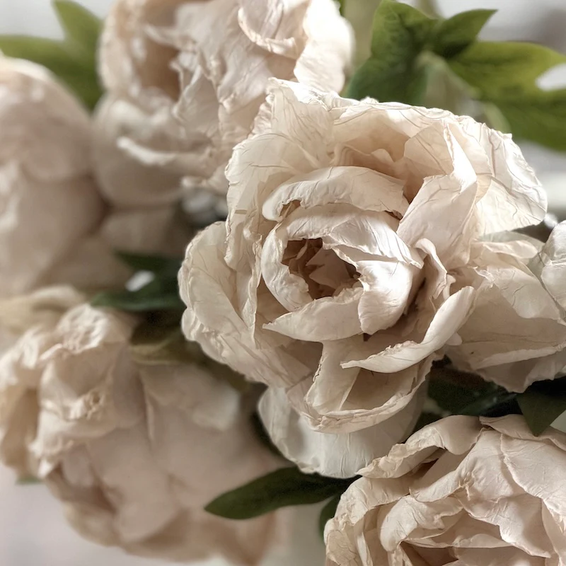 Faux Dried Touch Closed Peony Stem – Oyster | Realistic Botanical Faux Flower - Image 3