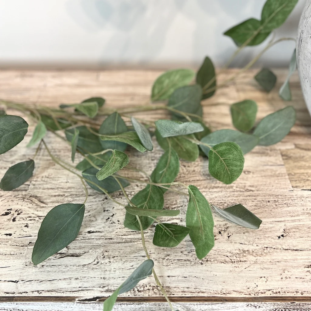 Faux Eucalyptus Populus - Image 6