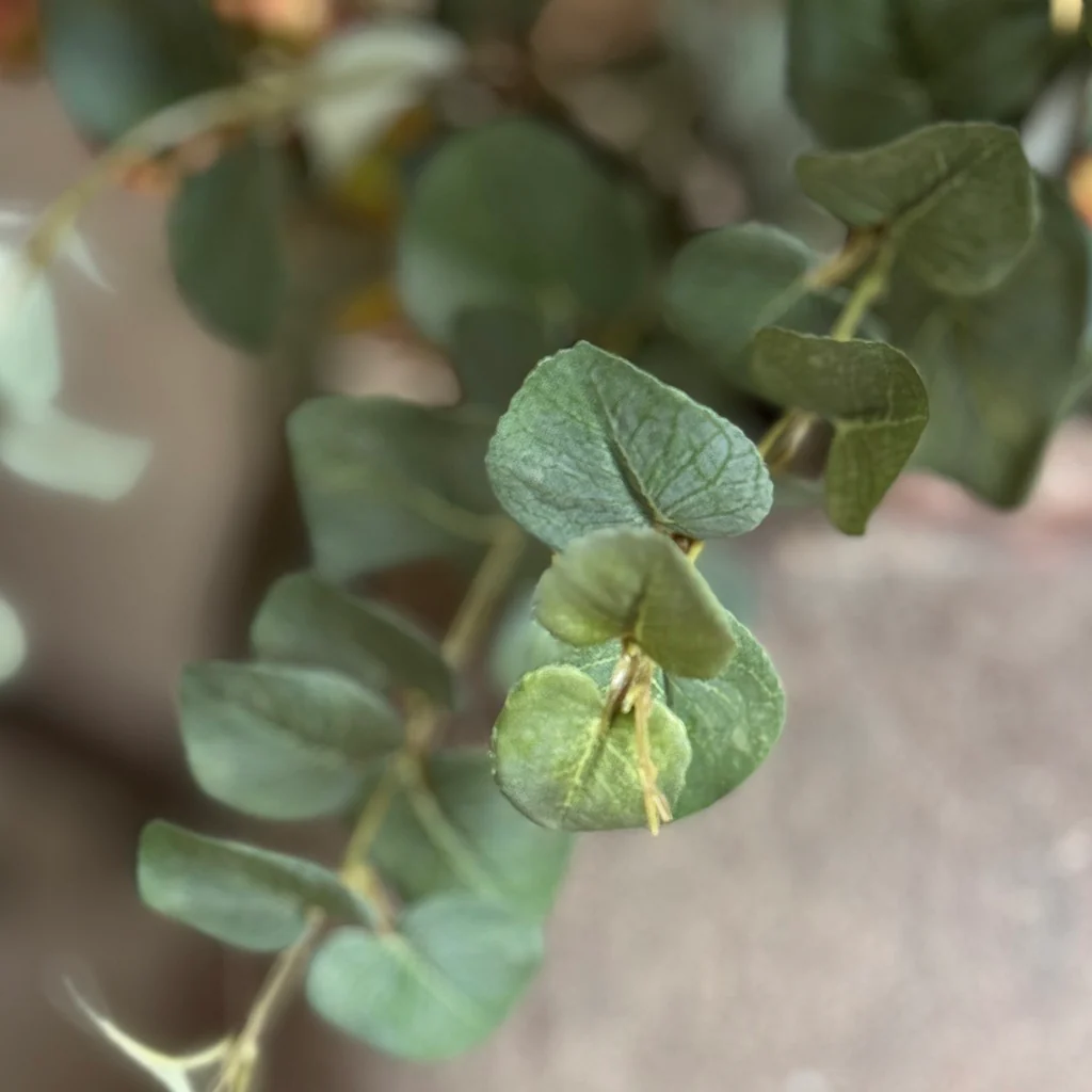 Faux Eucalyptus Spray - Image 2