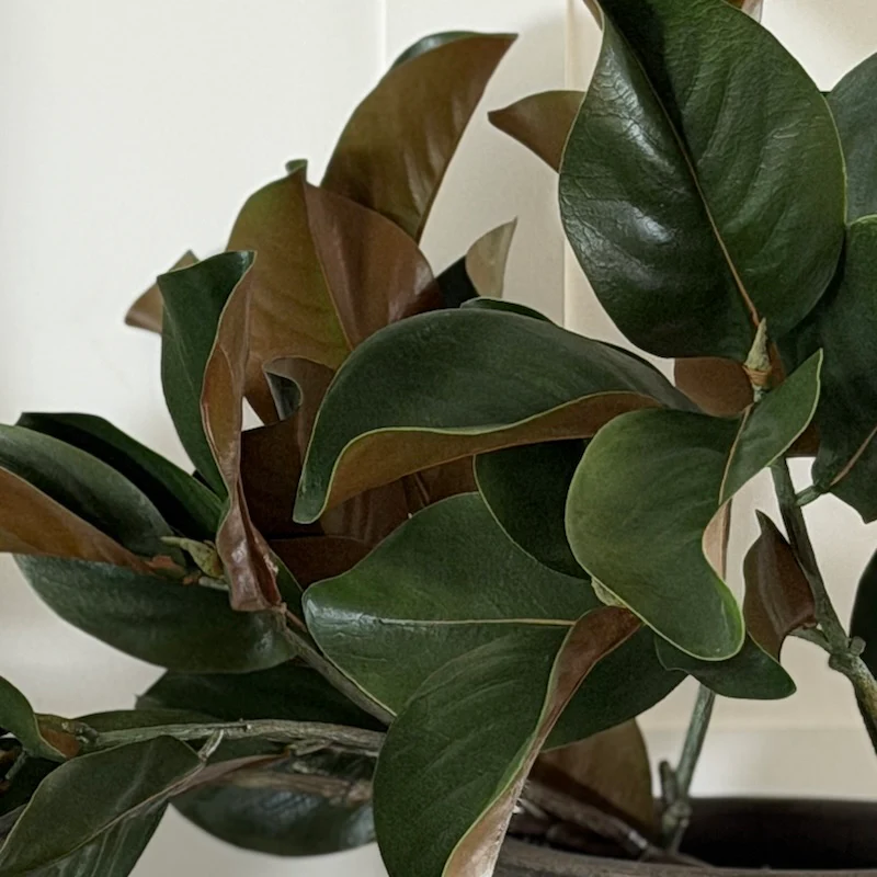 Faux Large Magnolia Leaf Spray - Image 3