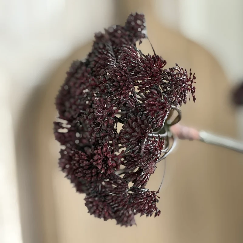 Faux Mulberry Angelica Seed Head Stem - Image 3