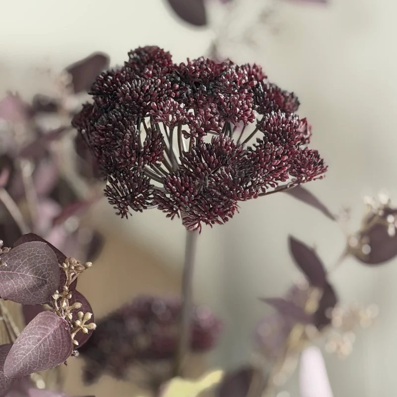 Faux Mulberry Angelica Seed Head Stem - Image 7