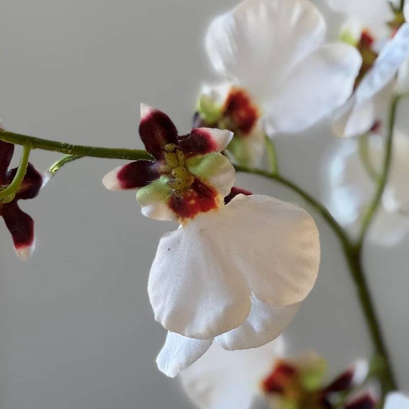 Faux Oncidium Orchid Stem White - Image 2