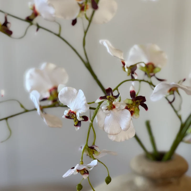 Faux Oncidium Orchid Stem White - Image 3