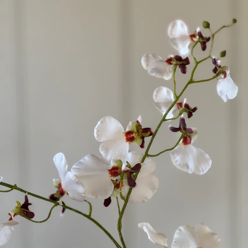 Faux Oncidium Orchid Stem White - Image 4