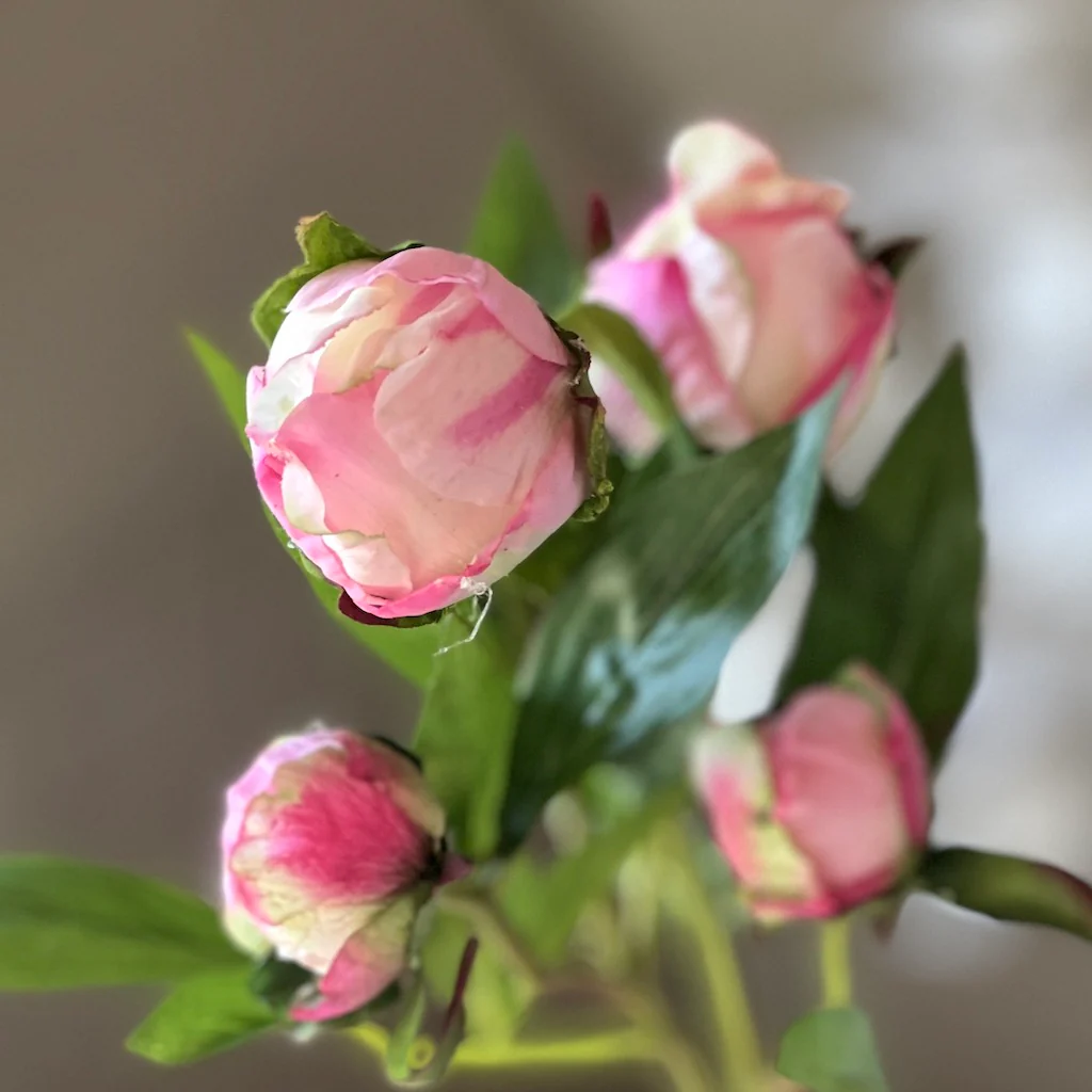 Faux Pink Peony - Image 5