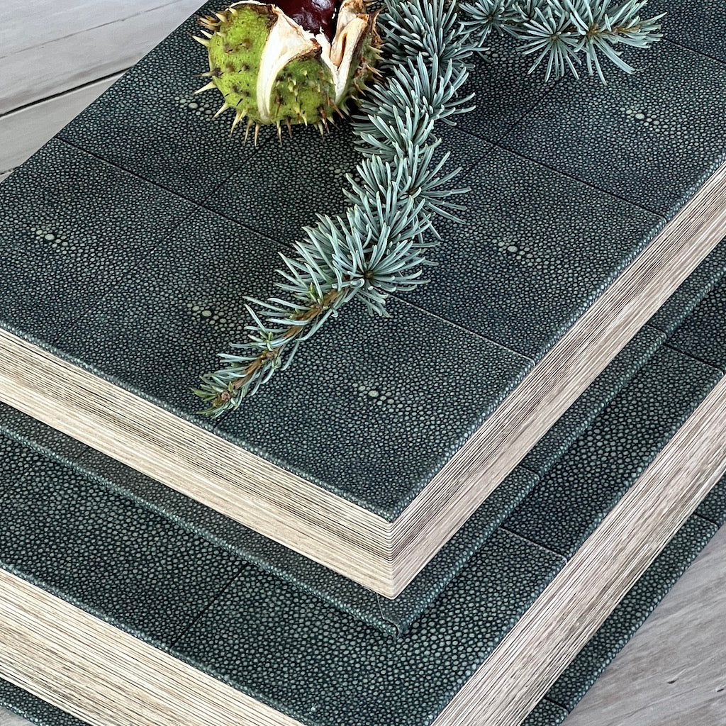 Faux Shagreen Book Boxes Set 2 - Image 6