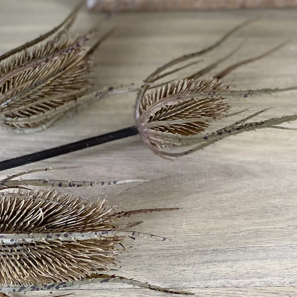 Faux Teasel Spray - Image 4