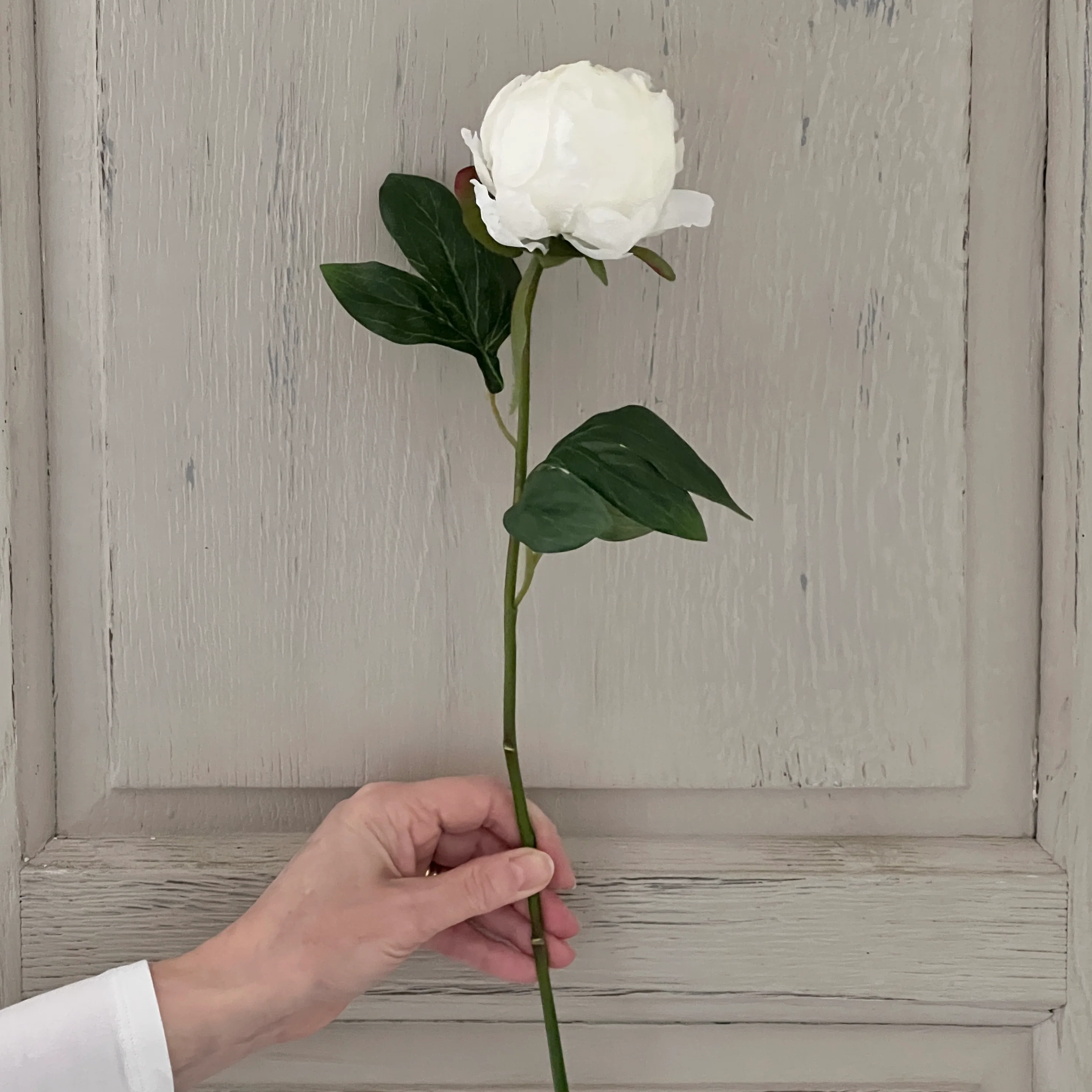 Faux White Peony In Bud - Image 5