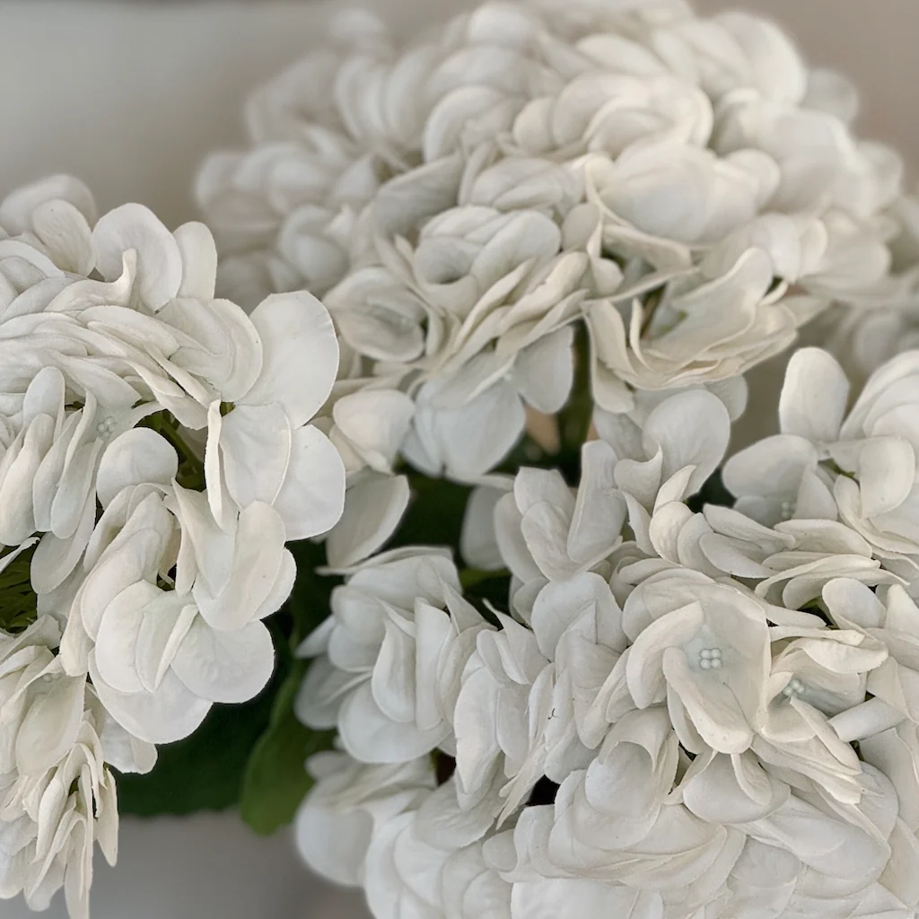 Faux White Real Feel Hydrangea - Image 4