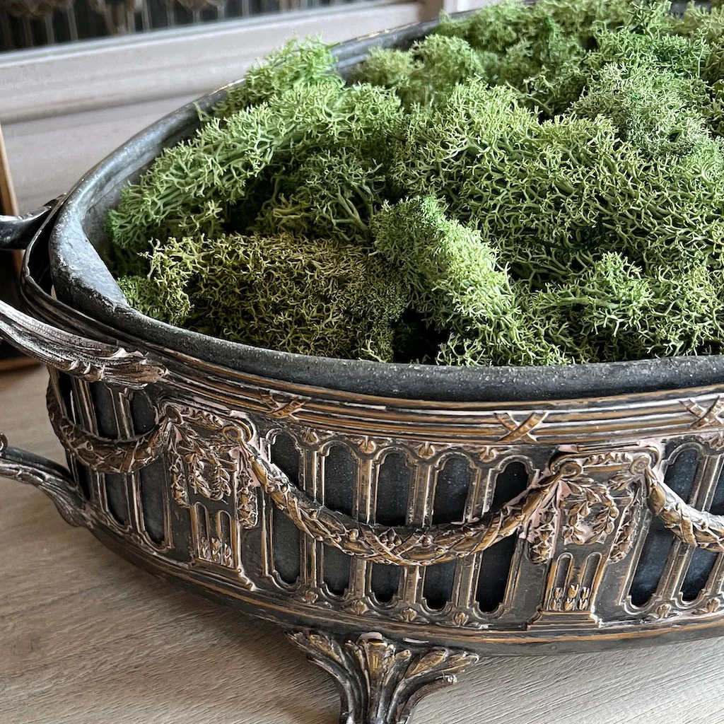 Green Seaweed Moss - Image 3