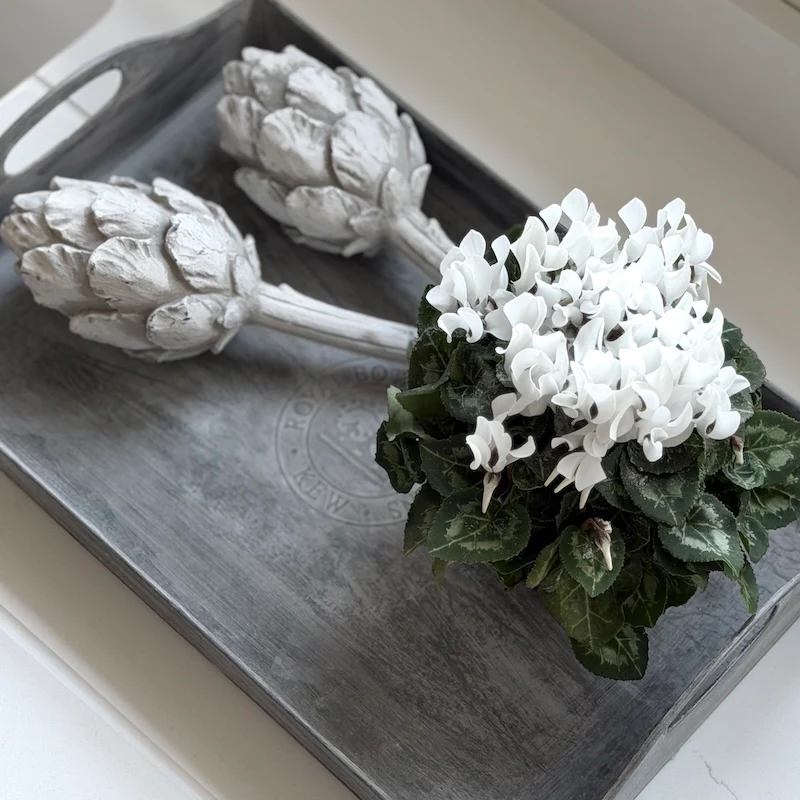 Kew Gardens Zinc Serving Tray — Aged Grey Finish - Image 6