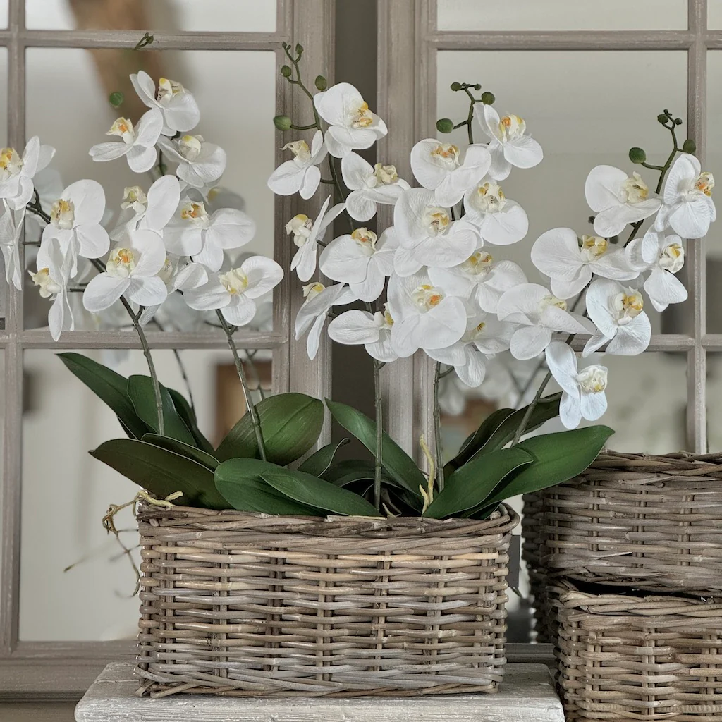 Kubu Rectangular Lined Planters - Image 4