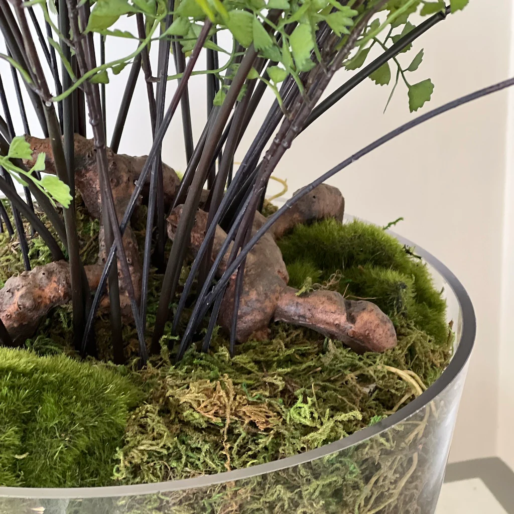 Large Maiden Hair Fern Glass Pot - Image 3