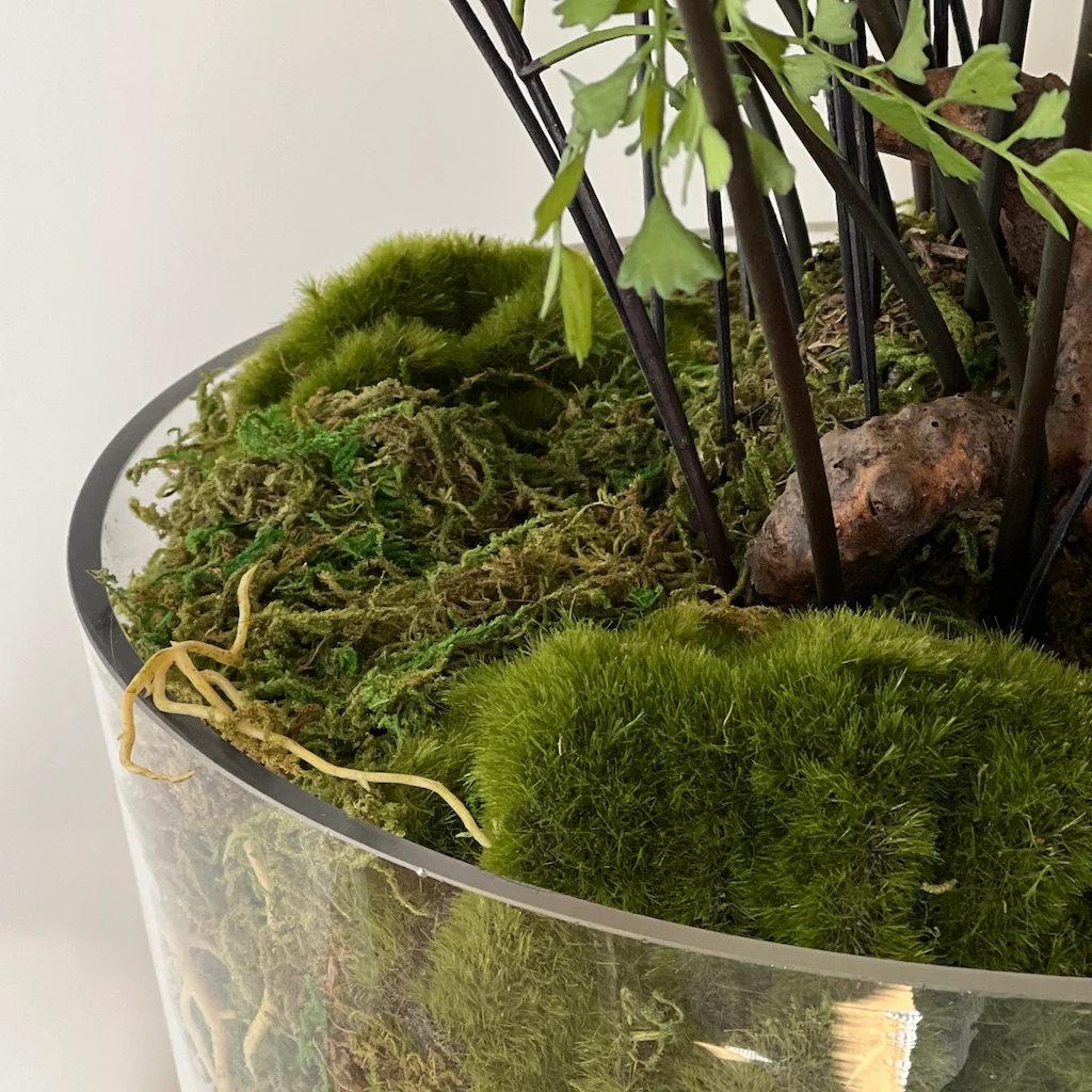 Large Maiden Hair Fern Glass Pot - Image 7