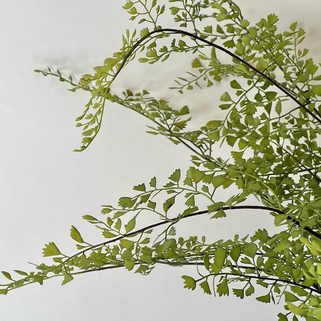 Large Maiden Hair Fern Glass Pot - Image 9