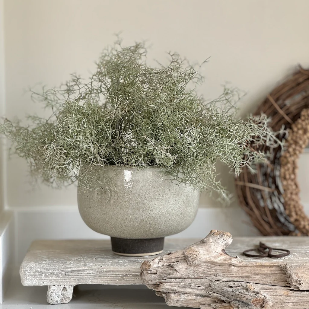 Latte Round Ceramic Bowl