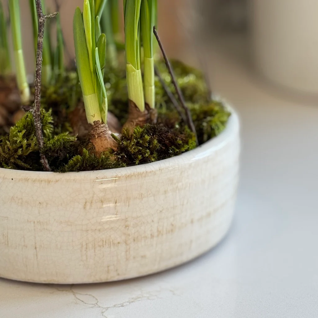 Littleton Ceramic Bowl Planter - Image 4