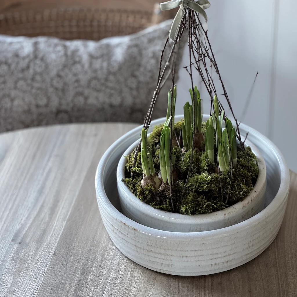 Littleton Ceramic Bowl Planter - Image 6