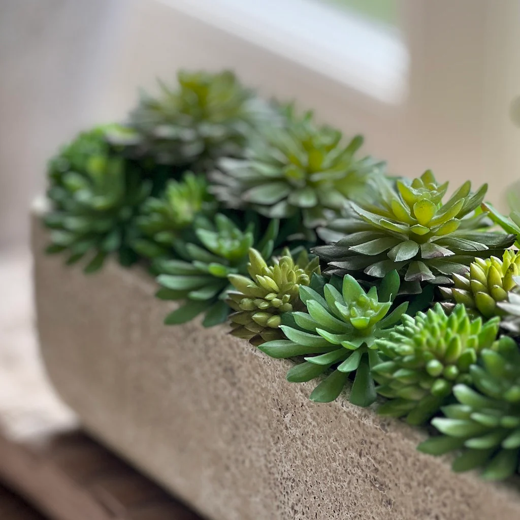 Mixed Faux Echeveria Trough - Image 3