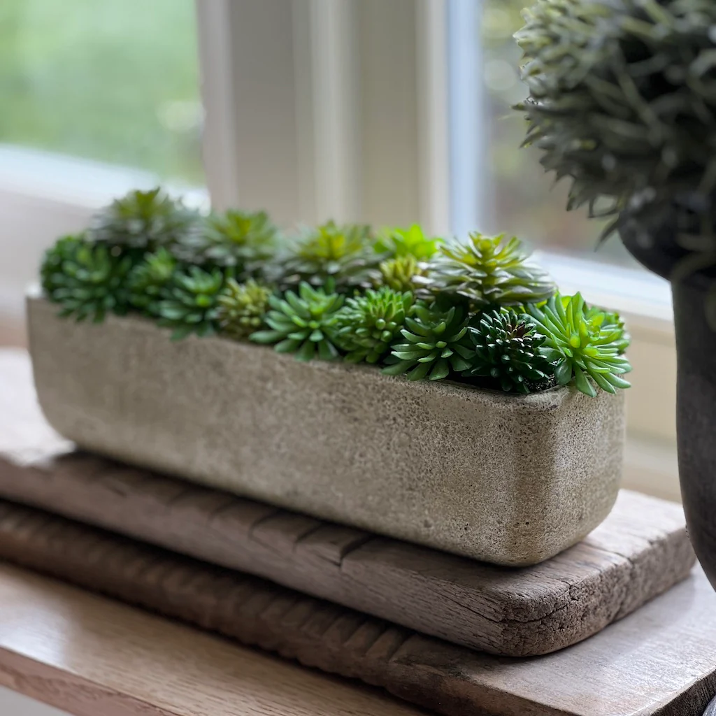 Mixed Faux Echeveria Trough - Image 4