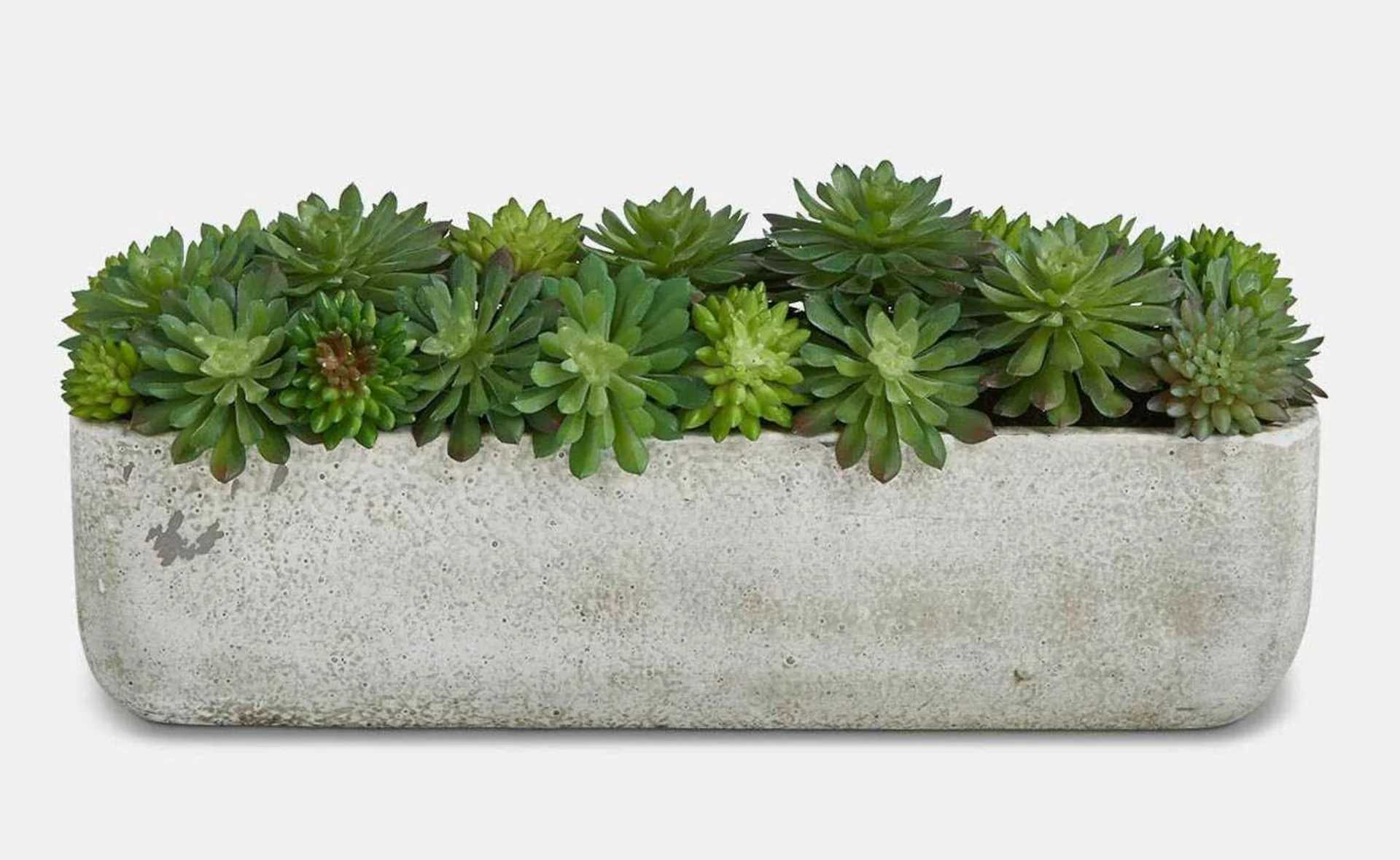 Mixed Faux Echeveria Trough - Image 5