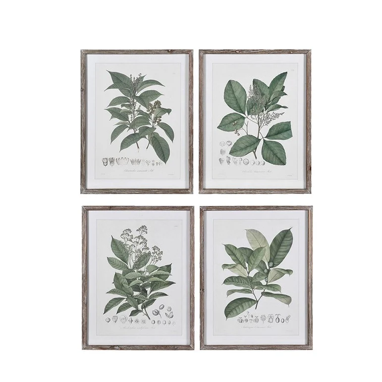 Perennial Herbs Wall Art Set 4 - Image 3