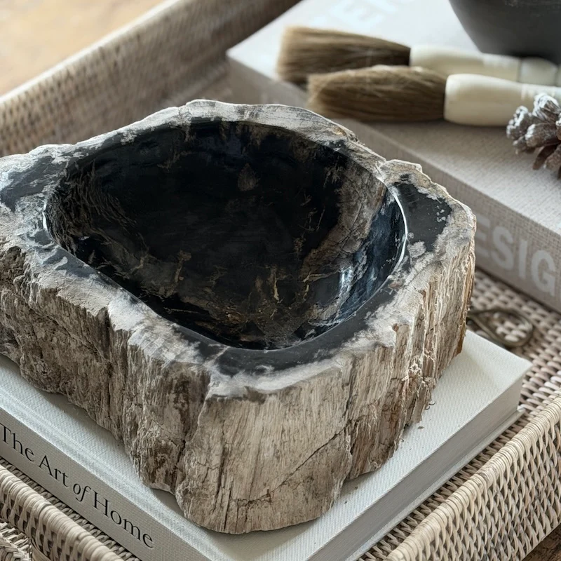 Petrified Wood Fossil Bowl