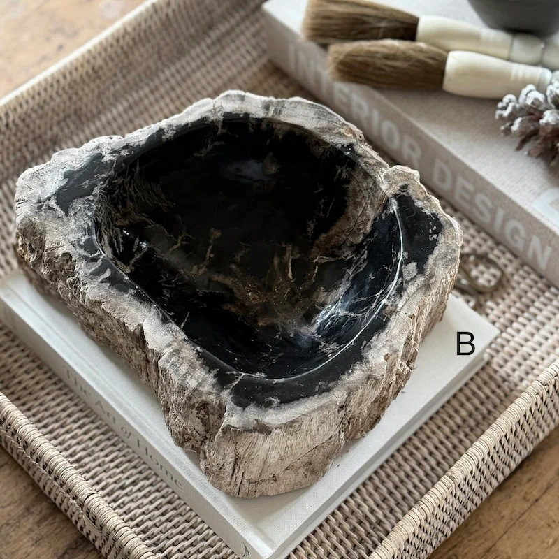 Petrified Wood Fossil Bowl - Image 3