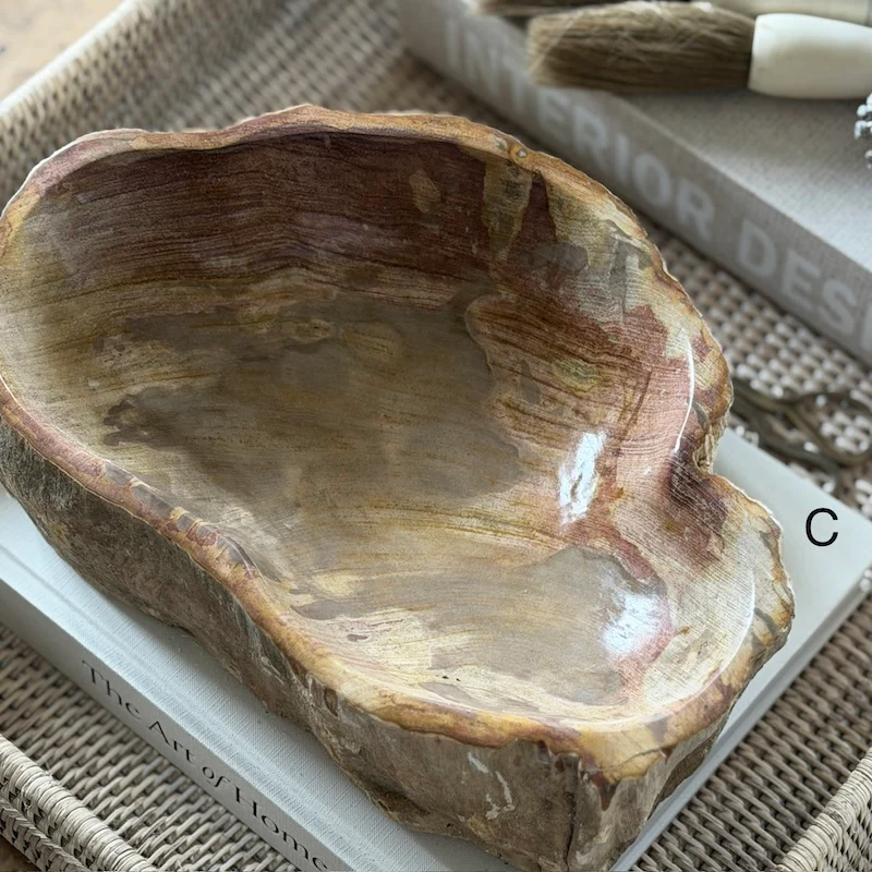 Petrified Wood Fossil Bowl - Image 4